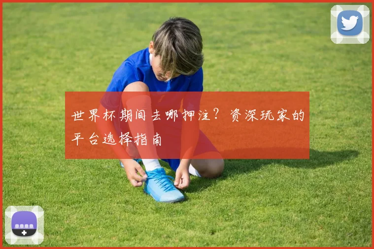 世界杯期间去哪押注？资深玩家的平台选择指南