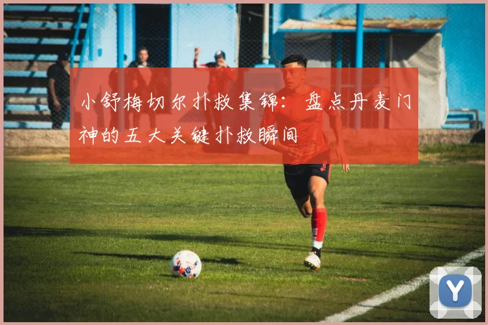 小舒梅切尔扑救集锦：盘点丹麦门神的五大关键扑救瞬间