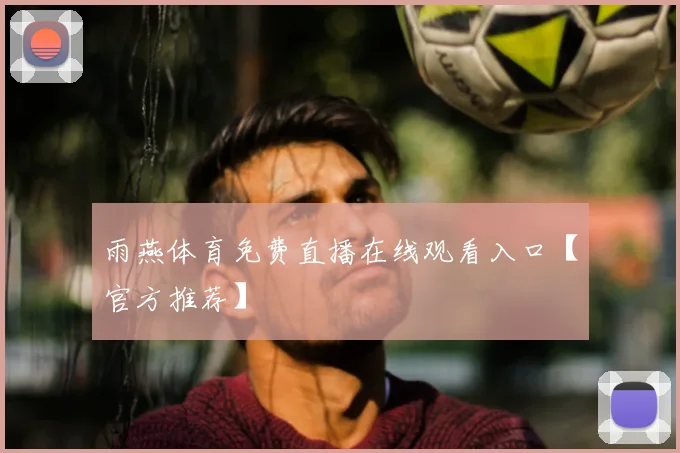 雨燕体育免费直播在线观看入口【官方推荐】
