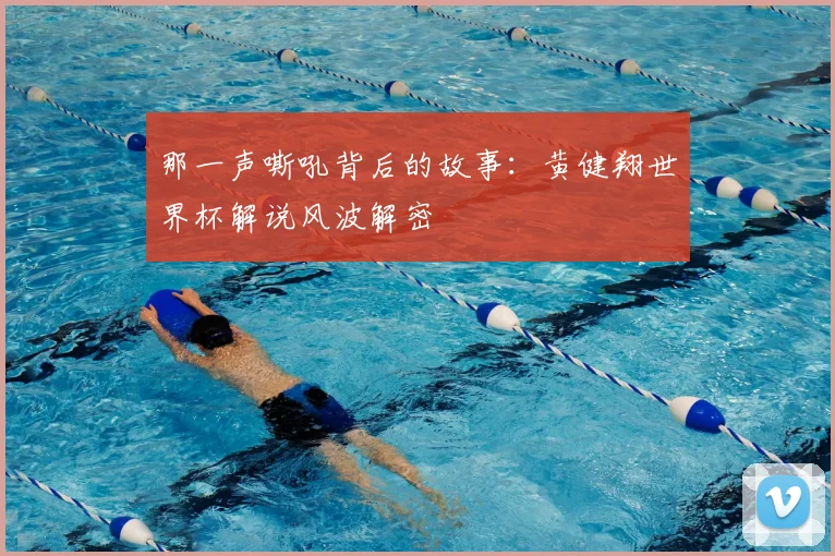 那一声嘶吼背后的故事：黄健翔世界杯解说风波解密