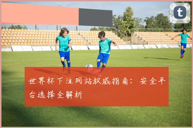 世界杯下注网站权威指南：安全平台选择全解析