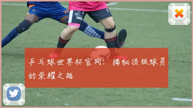 乒乓球世界杯官网：揭秘顶级球员的荣耀之路