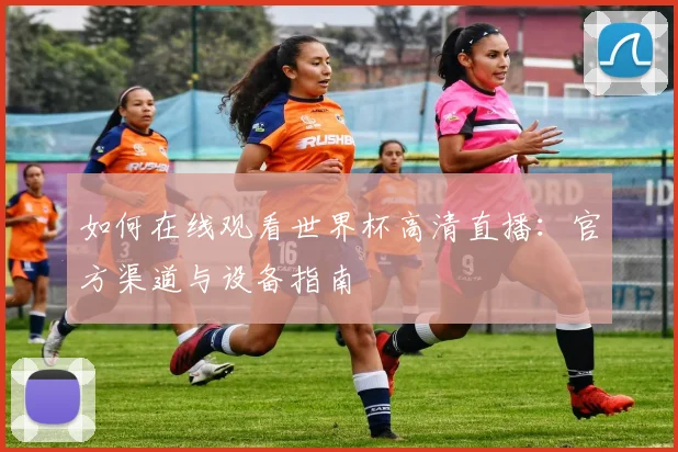 如何在线观看世界杯高清直播：官方渠道与设备指南