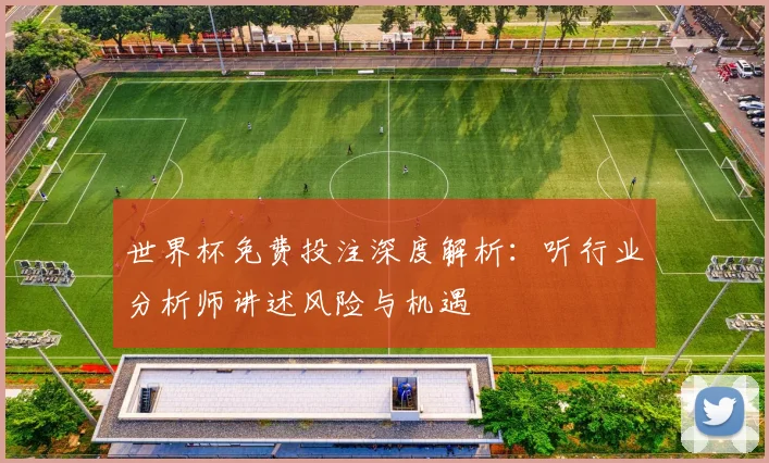 世界杯免费投注深度解析：听行业分析师讲述风险与机遇